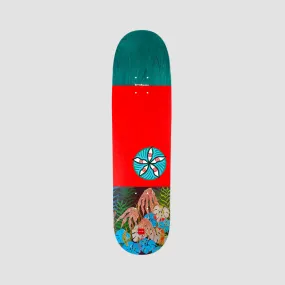 Chocolate Dog Perfume Kenny Anderson Skidul Skateboard Deck - 8.5