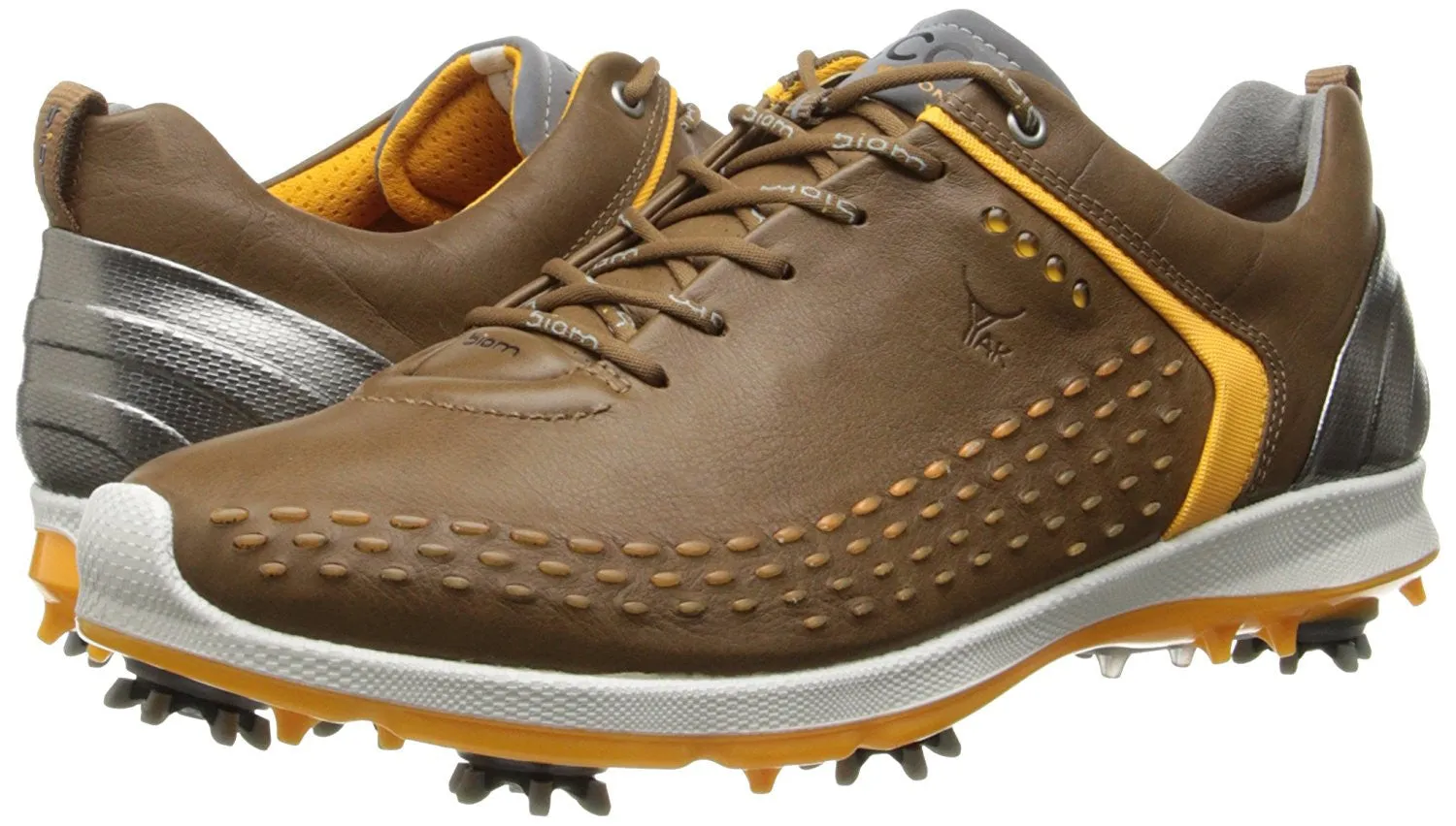 ECCO Men's Biom G2 Golf Shoe