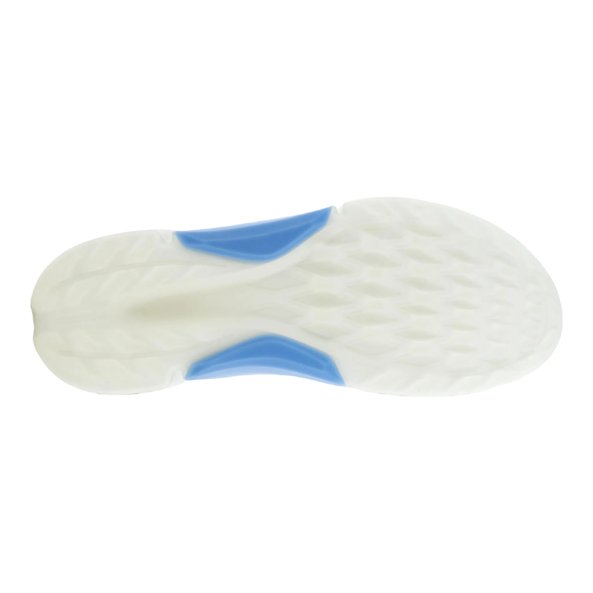 Men's Golf BIOM H4 Shoe