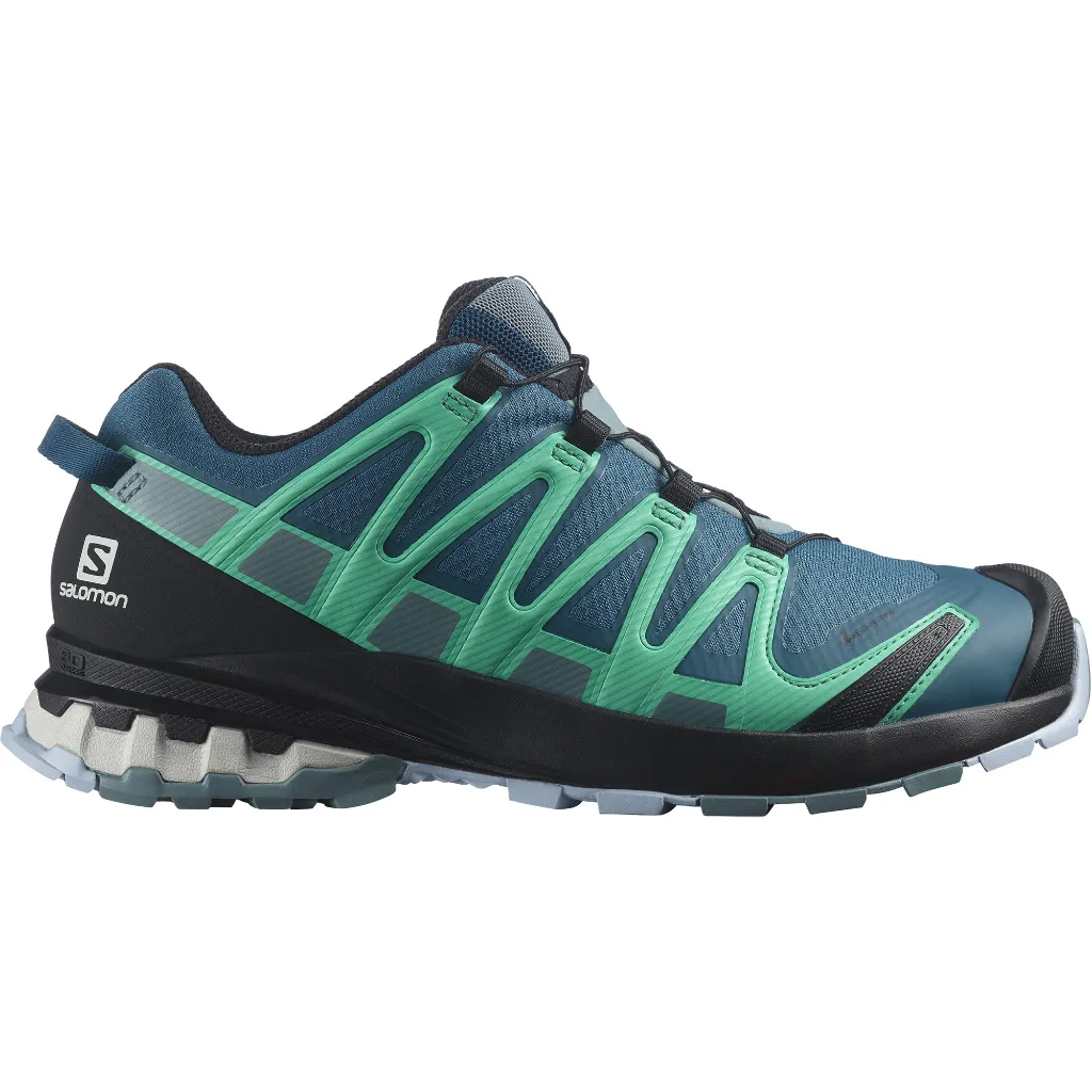 Salomon Women's XA Pro 3D V8 GTX