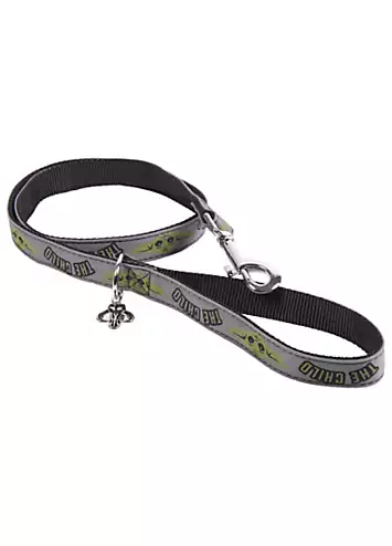 Star Wars The Mandalorian Dog Leash | Kaleidoscope